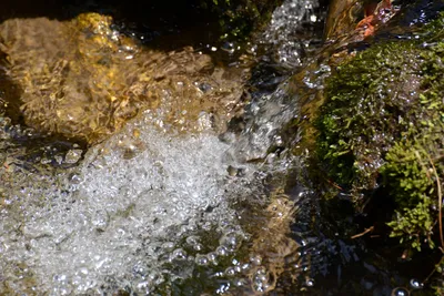 DSC_3189 (Large).JPG